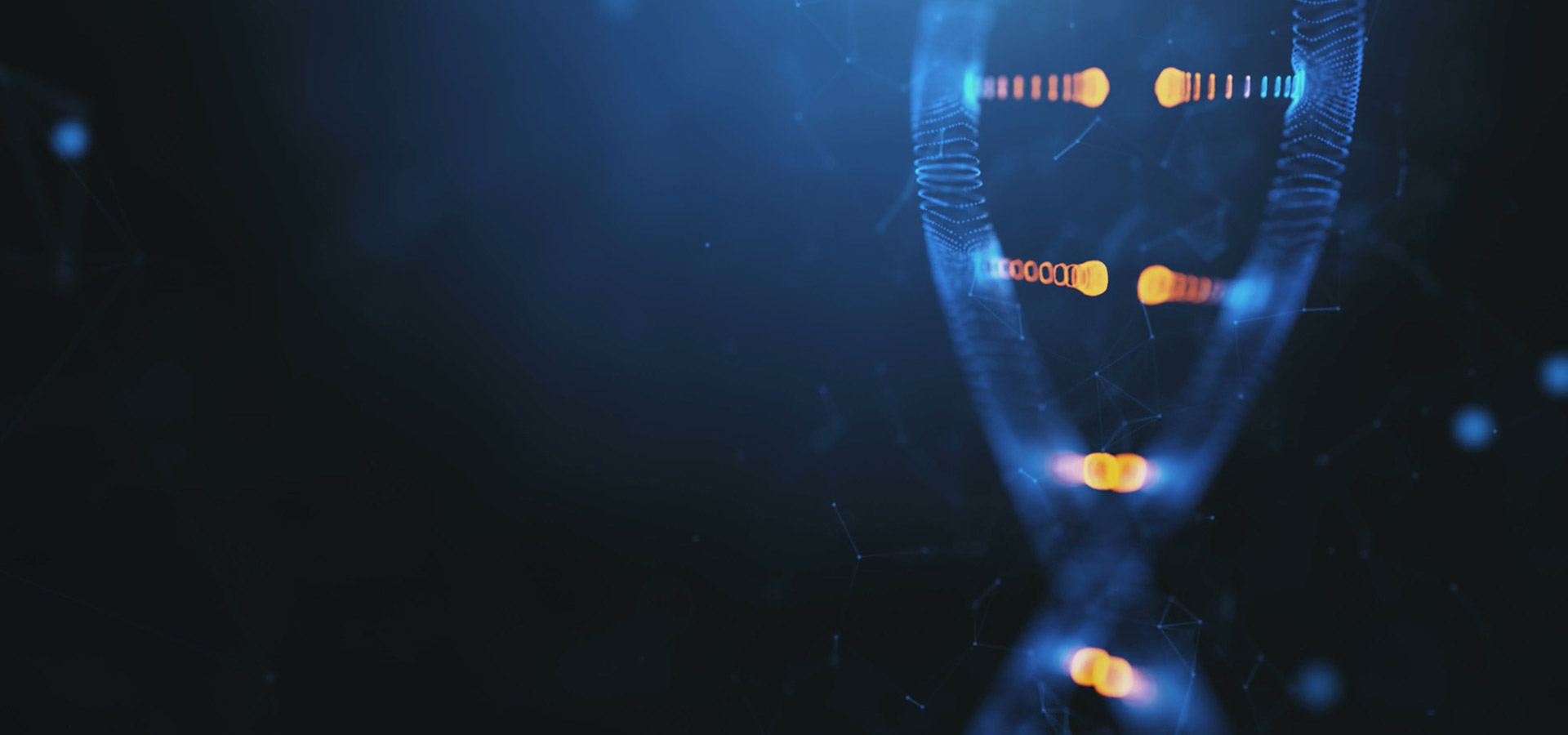 CMO和C-SUITE：合作伙伴关系的DNA